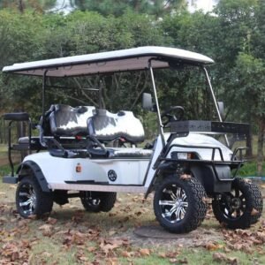 New customized 6 seater electric golf sightseeing car