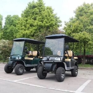 New model 4 seater Golf cart