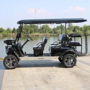 5000W Custom 6 passenger Hotel  Golf car