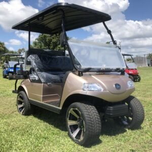 Electric Vehicles 4 Pro 60 AH Lithium